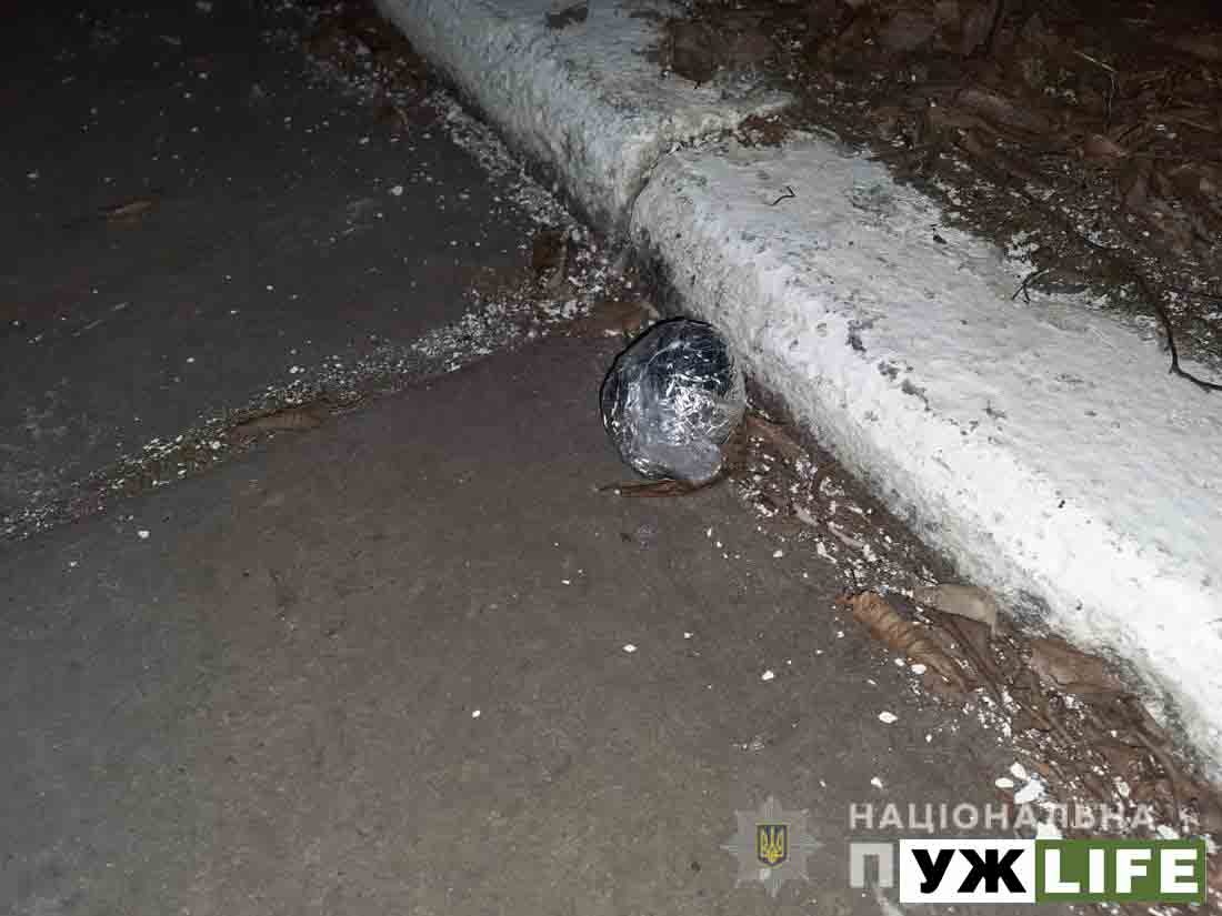 narkotuku v koloniyu zhi 12 1
