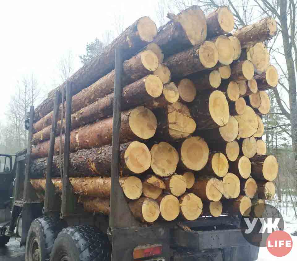 ovrych lis 15 golovna2
