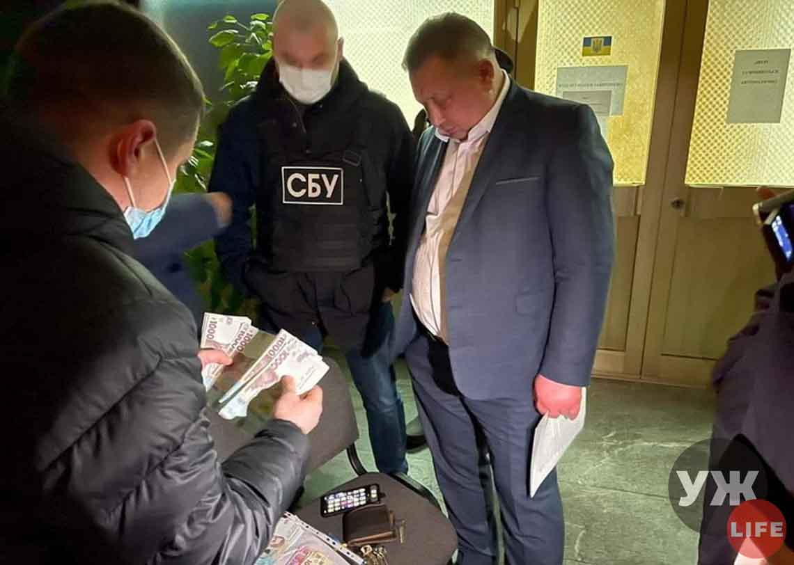 Майже мільйон доходу і мотоцикл: директор департаменту Житомирської ОДА, якого затримали на хабарі, показав свою минулорічну декларацію