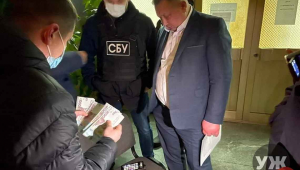 Майже мільйон доходу і мотоцикл: директор департаменту Житомирської ОДА, якого затримали на хабарі, показав свою минулорічну декларацію