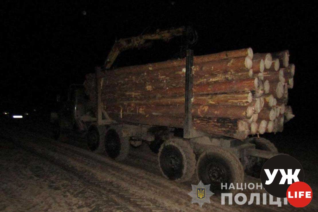 2zilazderevunoyu olevsk 2