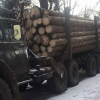 На Олевщині затримали одразу два ЗІЛа з нелегальною деревиною (ФОТО)