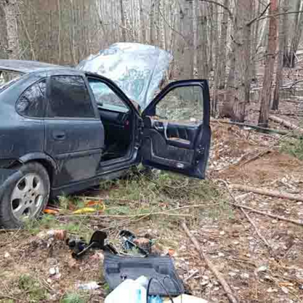 В Овруцькому районі легковик зіткнувся з деревом: водія деблокували рятувальники (ФОТО)