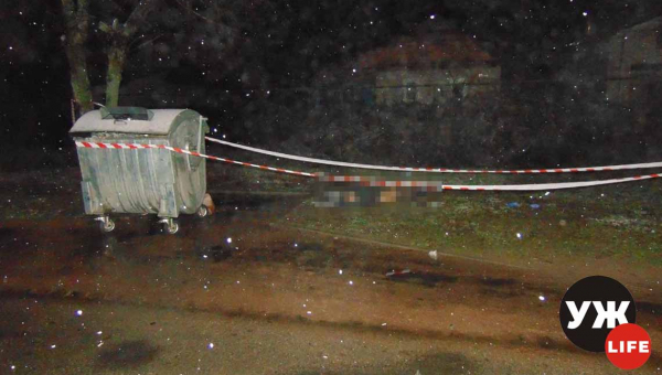 В Коростені затримали п'яного водія, який на смерть збив хлопця і втік з місця ДТП (ВІДЕО)