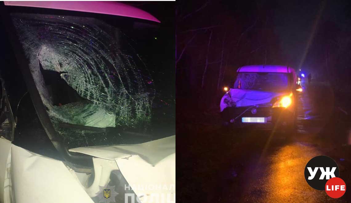 Справу водія, з вини якого в ДТП на Олевщині загинула малолітня дитина, передано до суду