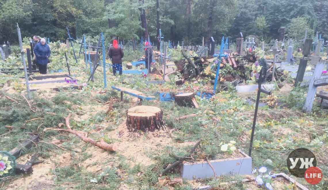 На Житомирщині під час зрізання дерев пошкодили понад два десятка могил (ВІДЕО)