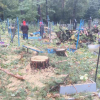 На Житомирщині під час зрізання дерев пошкодили понад два десятка могил (ВІДЕО)