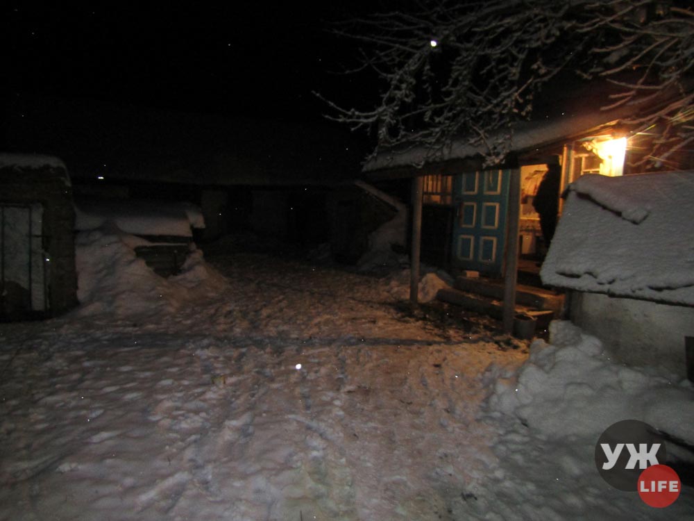 vbuvstvo zhi2811221