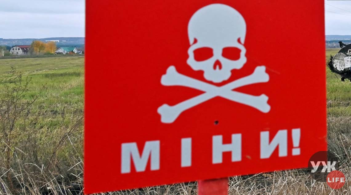 На міні у Коростенському районі підірвалося авто: загинули батьки вісьмох дітей