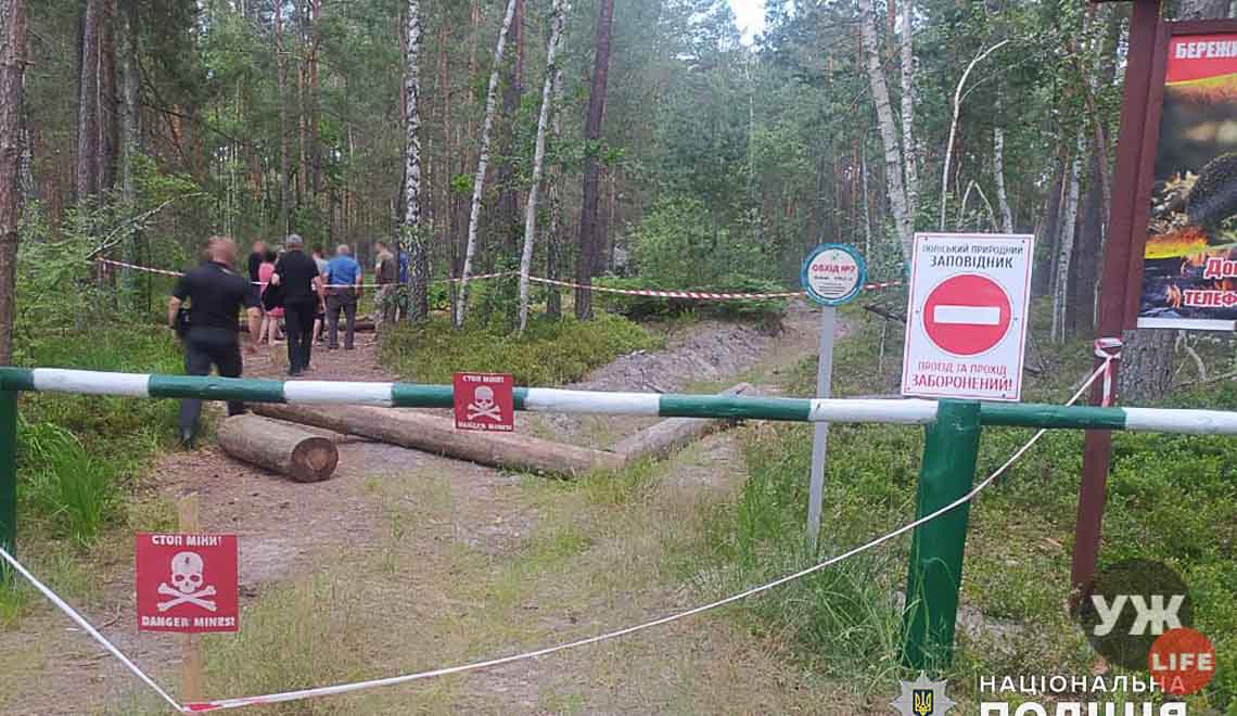 На Житомирщині в лісі загинув чоловік: поїхав по чорниці на заміновану територію