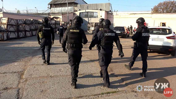 Обіцяли доставити до лінії фронту: в’язні колонії на Житомирщині продавали неіснуючі авто для ЗСУ
