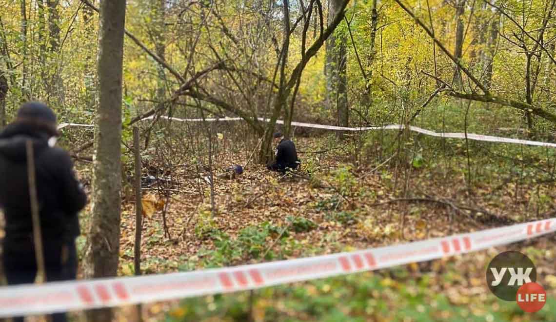 На околиці Житомира грибники знайшли тіло чоловіка, якого розшукували з травня