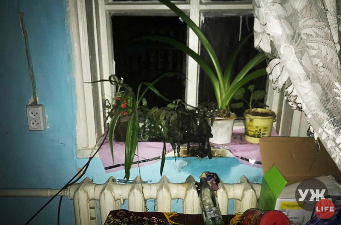 На Житомирщині чоловік кинув у вікно будинку тещі «коктейль Молотова», бо посварився з дружиною та не хотів розлучатись